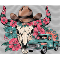 Country music-CU 673